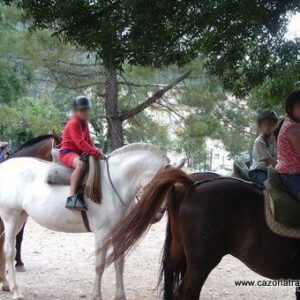 Excursión Caballos