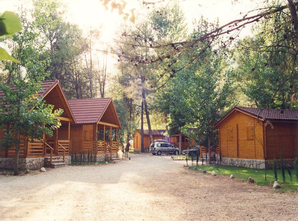 cabañas de madera llanos de arance