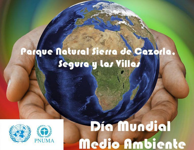 5 de Junio, Día Mundial Medio Ambiente