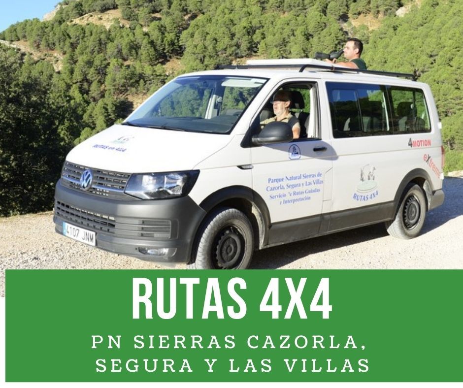 Rutas en 4x4 por la Sierra de Cazorla, Segura y Las Villas
