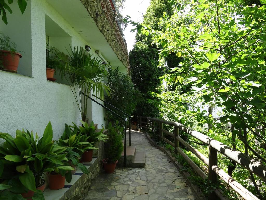 Apartamentos Arroyo Parrilla