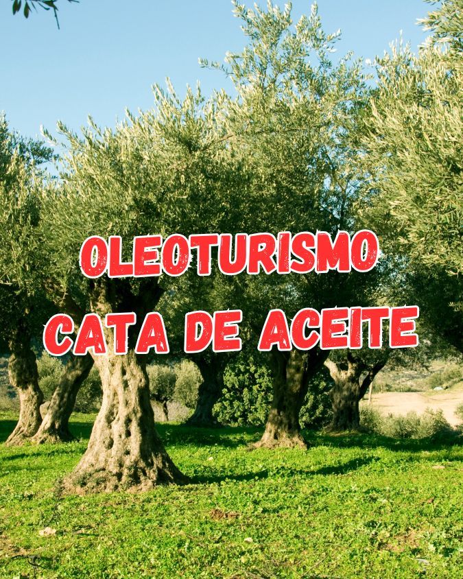 Oleoturismo y cata de aceite en Cazorla