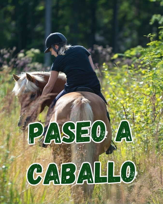 Paseo a caballo en Cazorla