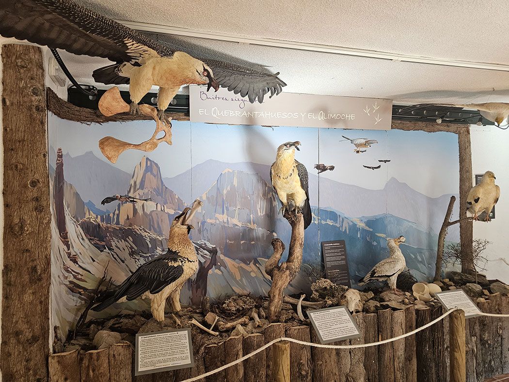 Frondosa Naturaleza – Exposición interpretativa