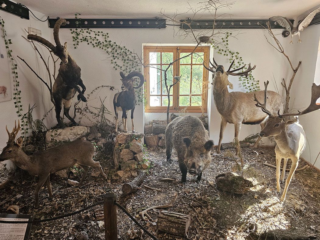 Museo Frondosa Naturaleza Cazorla