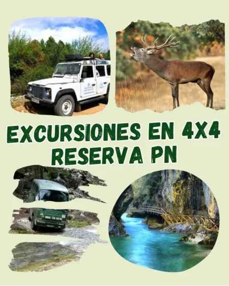 Excursiones en 4x4 por la Sierra de Cazorla